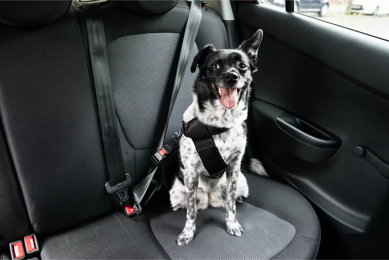 Irish Wolfhounds Dog Car Seat Belt for GMC Sierra