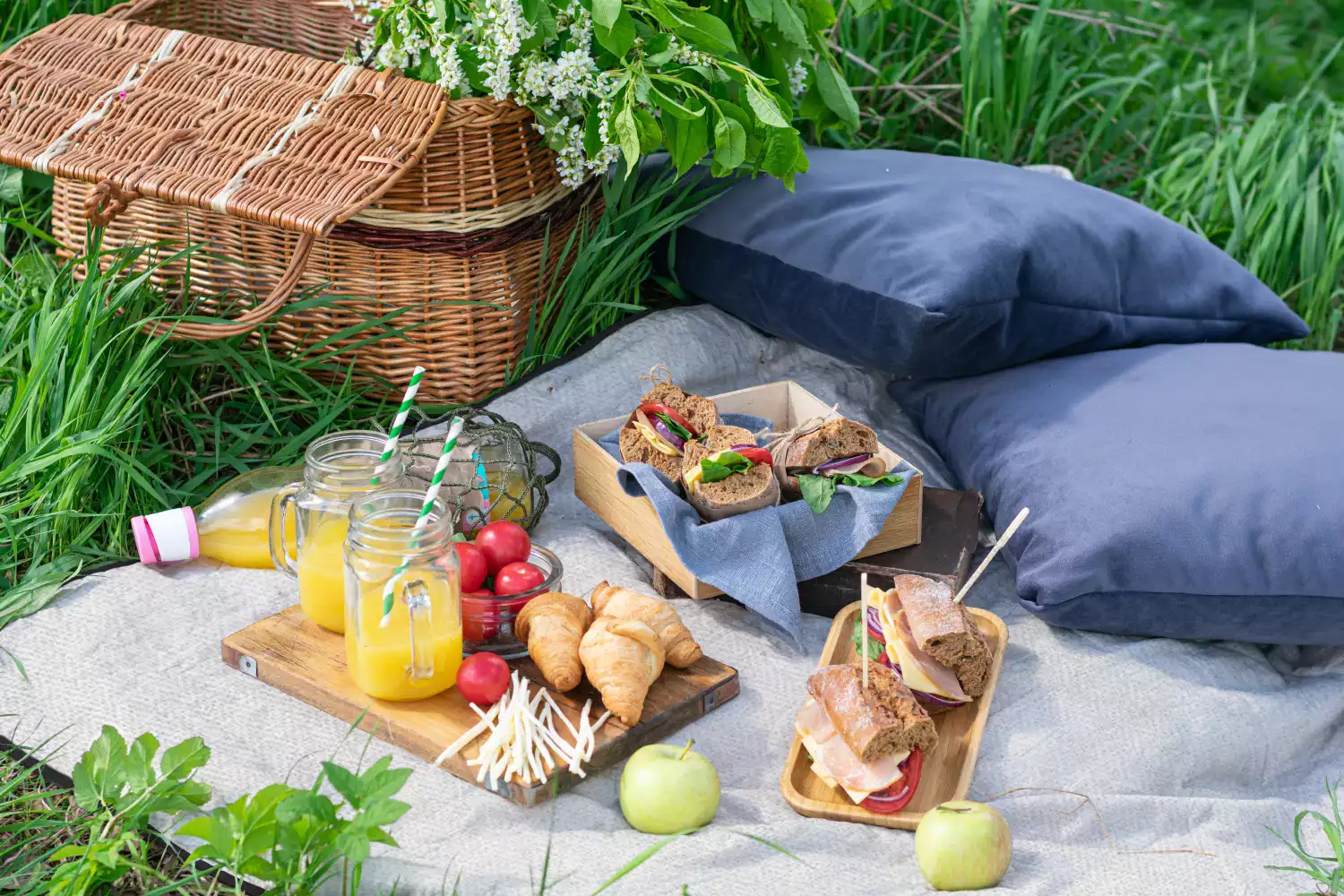 best travel picnic blanket