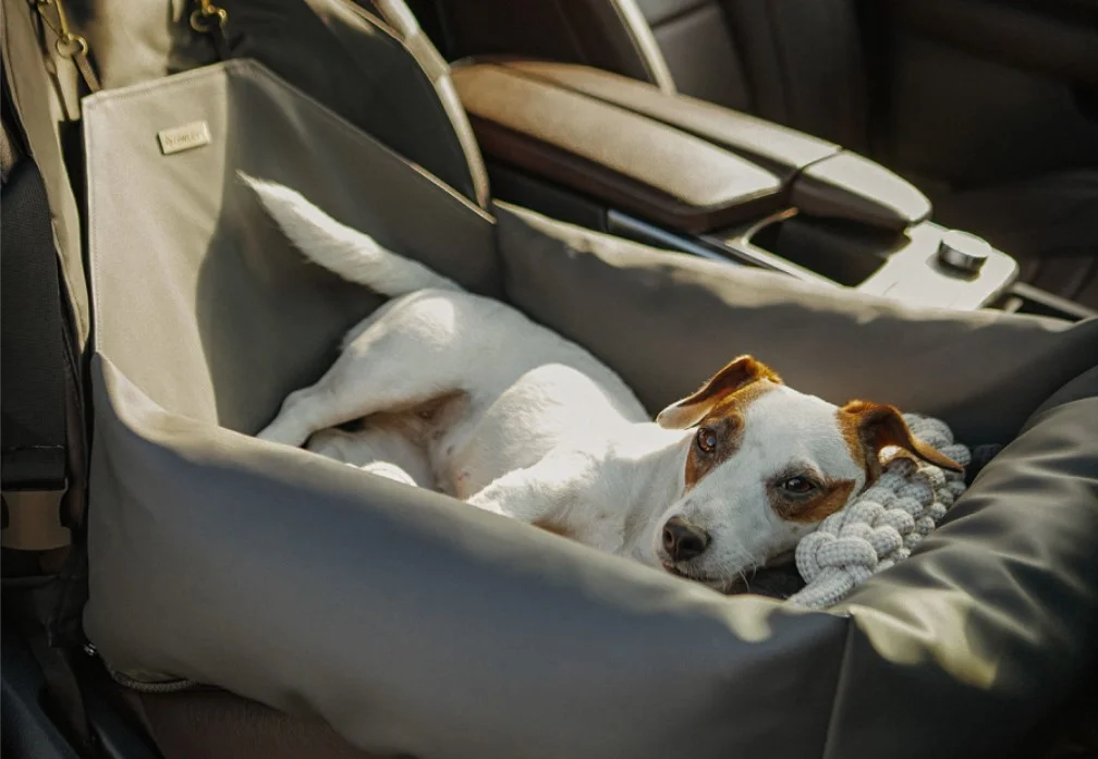 Chevrolet Camaro Dog Car Seat for Pomeranians