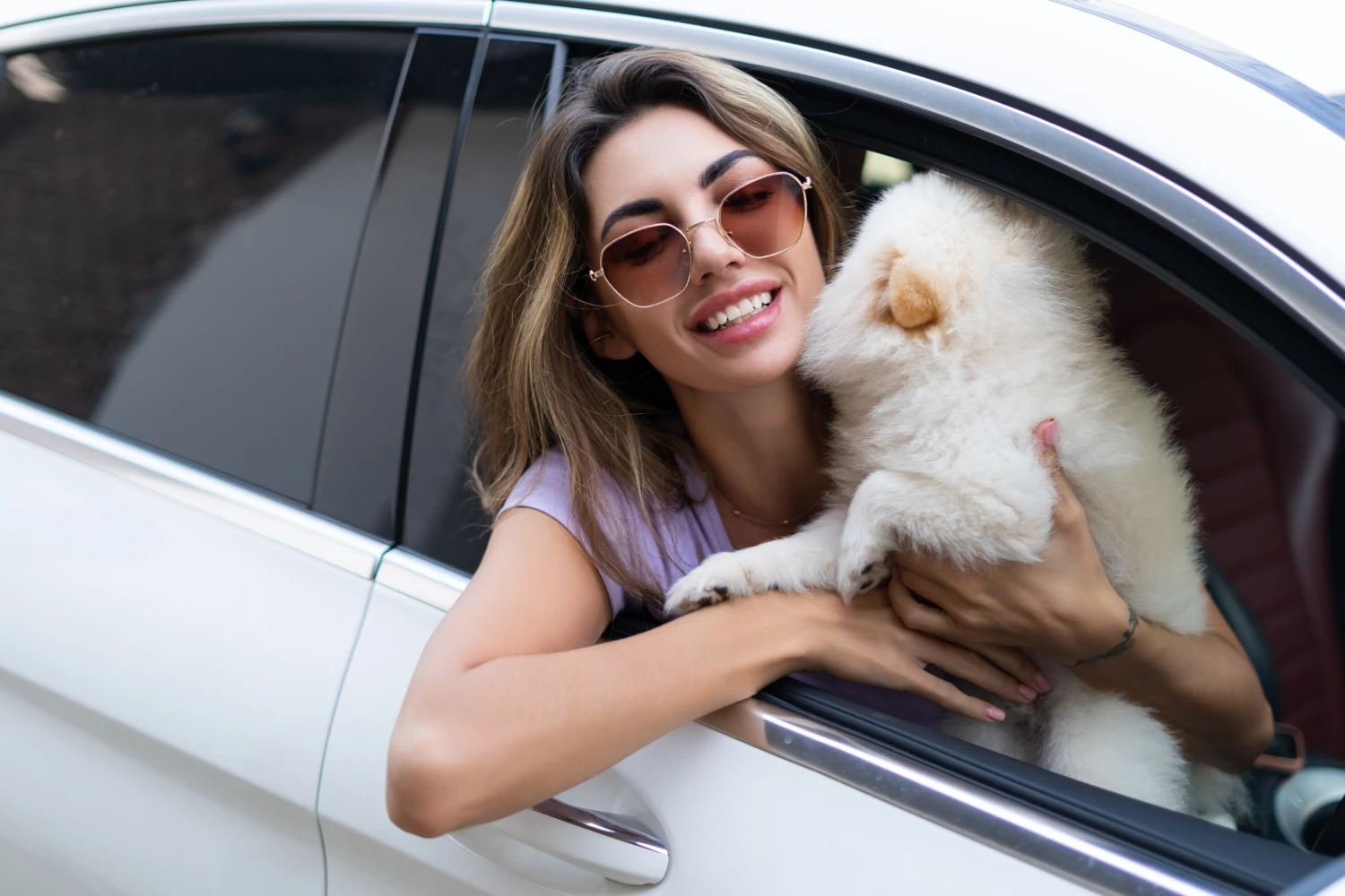 Chevrolet Camaro Dog Car Seat for Pomeranians